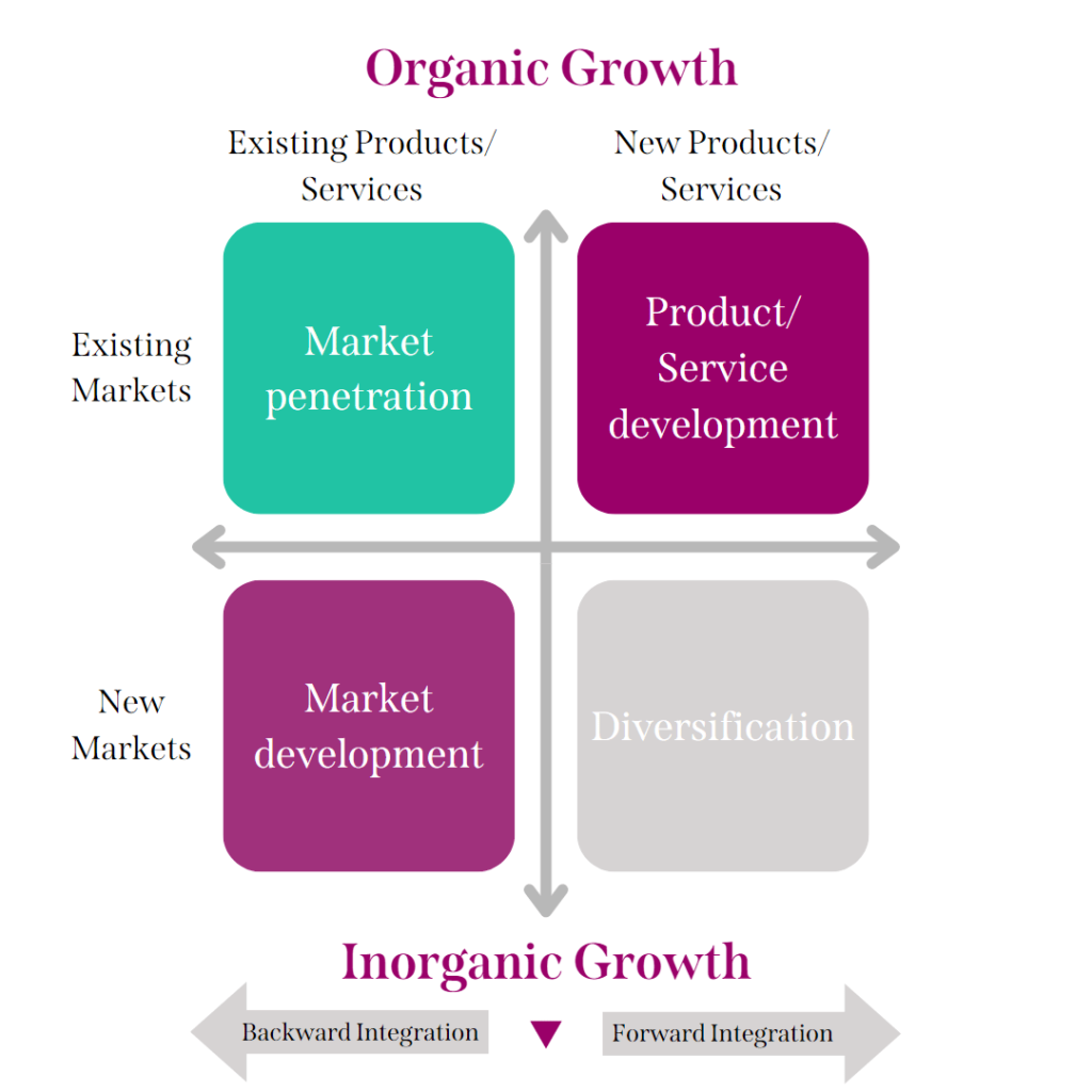 Business Growth Strategies A Quick Guide To Organic In organic 